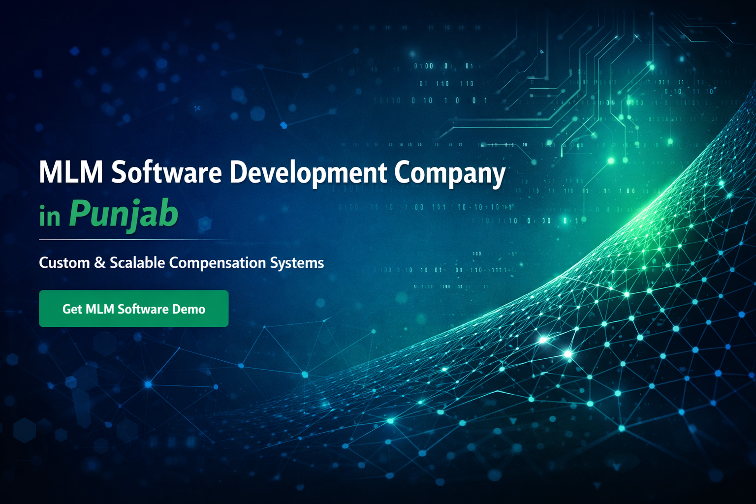 mlm-software-developer-punjab